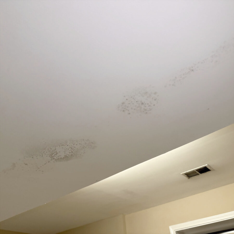 Mould spotting across a bedroom ceiling.